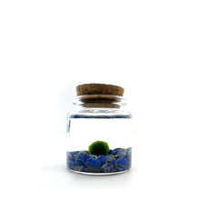 Load image into Gallery viewer, Lapis Lazuli Rico