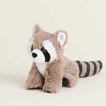 Load image into Gallery viewer, Raccoon Warmies Junior