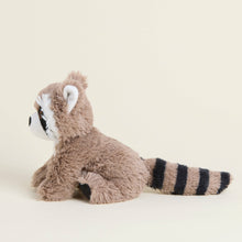 Load image into Gallery viewer, Raccoon Warmies Junior