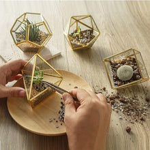 Load image into Gallery viewer, Mini Glass Geometric Terrarium Container