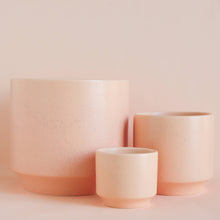 Load image into Gallery viewer, Parker Pot | Sunset Speckle - 6.75 inch