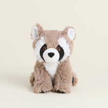 Load image into Gallery viewer, Raccoon Warmies Junior