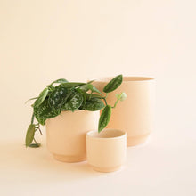 Load image into Gallery viewer, Parker Pot | Vanilla Speckle - 6.75 inch