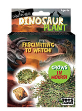 Load image into Gallery viewer, Dinosaur Plant