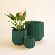 Load image into Gallery viewer, Monroe Planter - Rainforest: 4.5 inch
