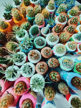 Load image into Gallery viewer, Blue and White Baby Planter
