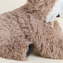 Load image into Gallery viewer, Raccoon Warmies Junior
