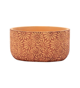 Orange Embossed Flower Dish Garden