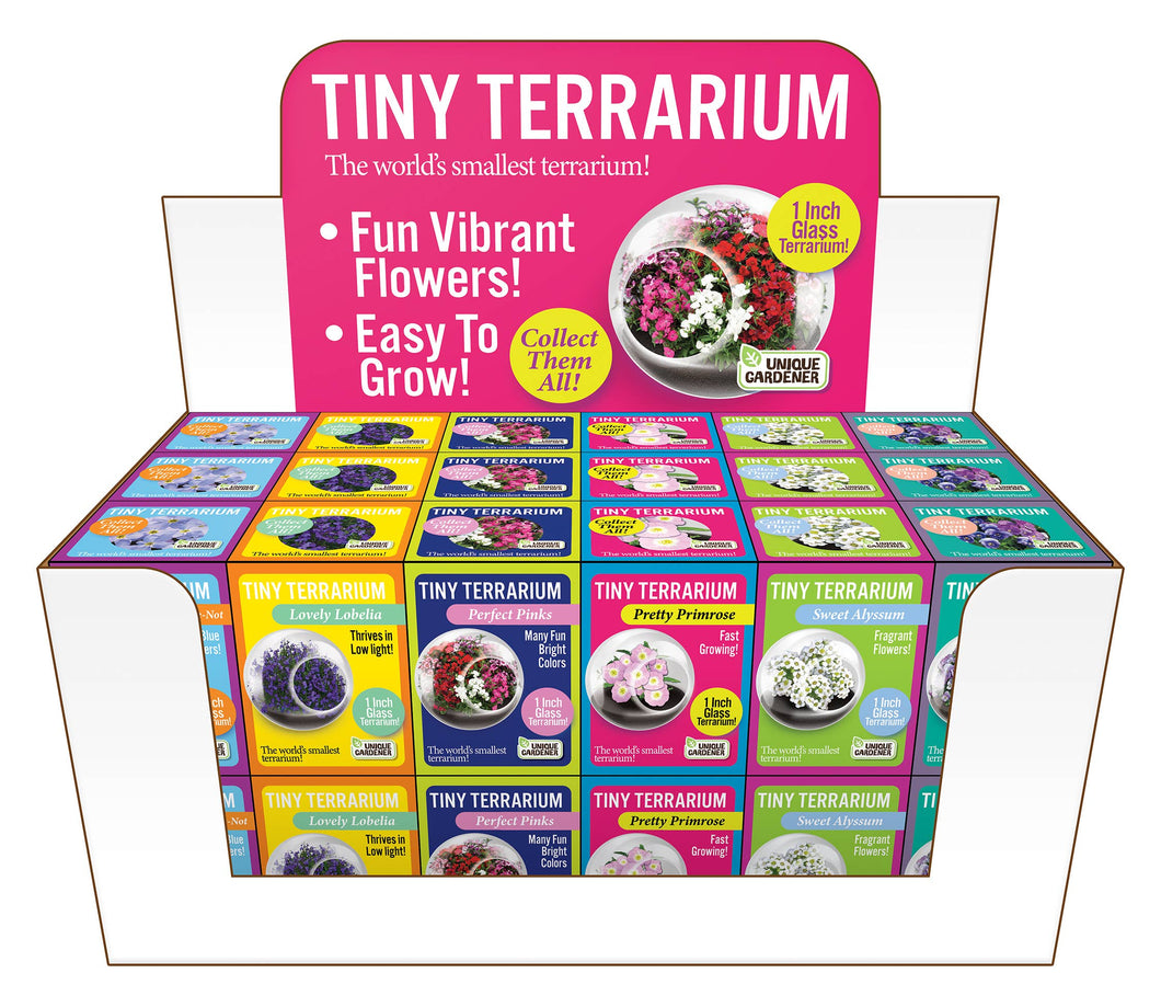 Tiny Terrariums Flowering