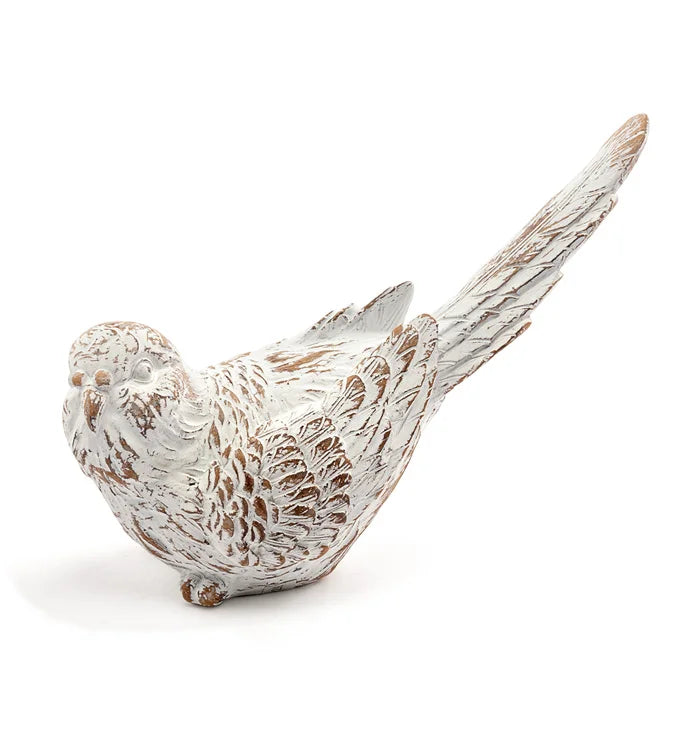 Brown and White Bird