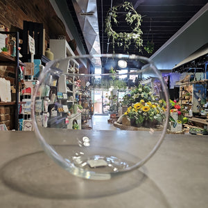 8" Glass Ball Terrarium