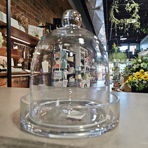 Glass cloches w/ knob & Tray