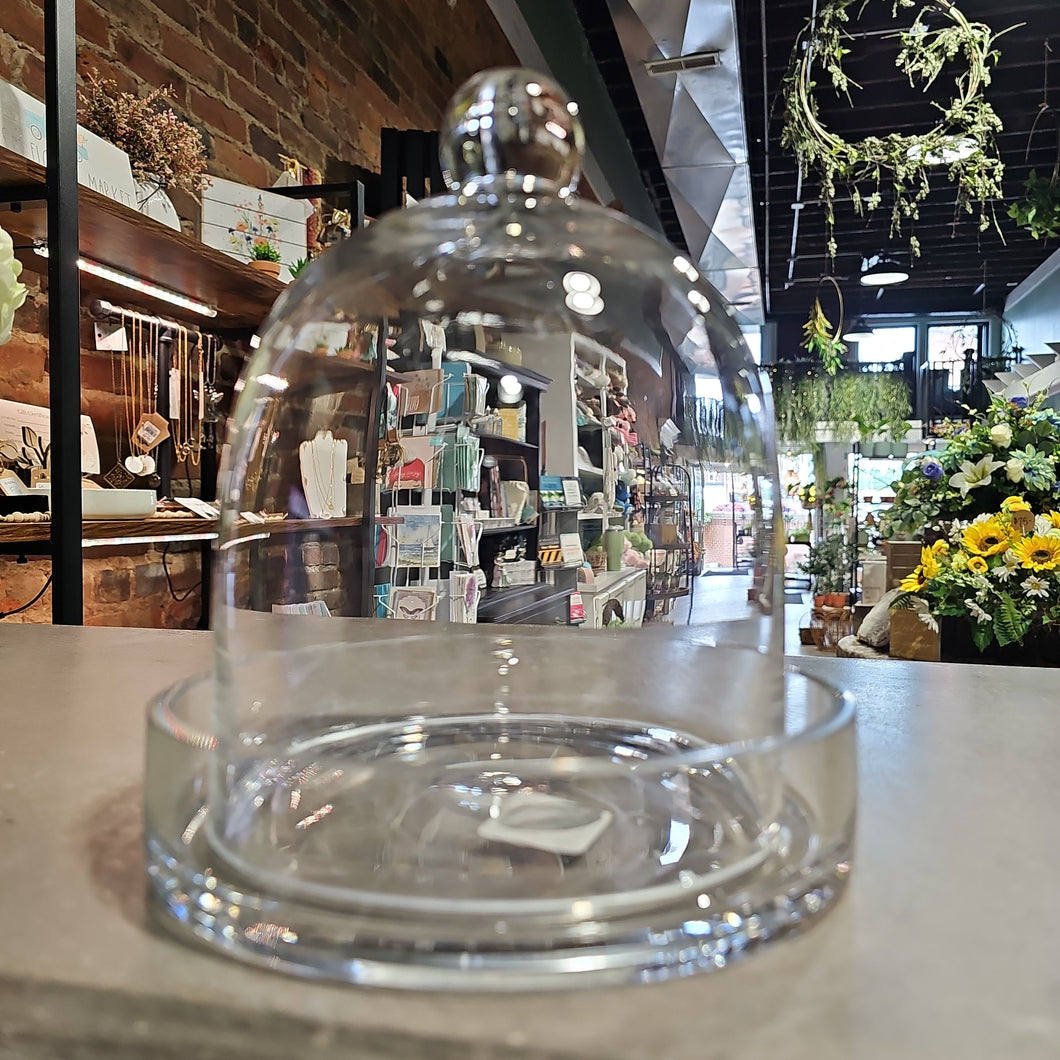 Glass cloches w/ knob & Tray