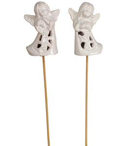 White Angel Pick -  Assorted