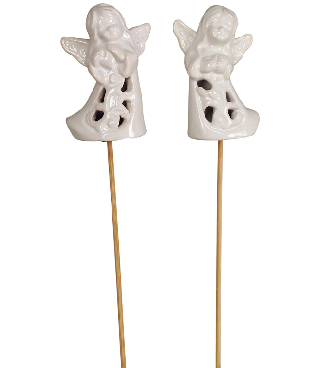 White Angel Pick -  Assorted