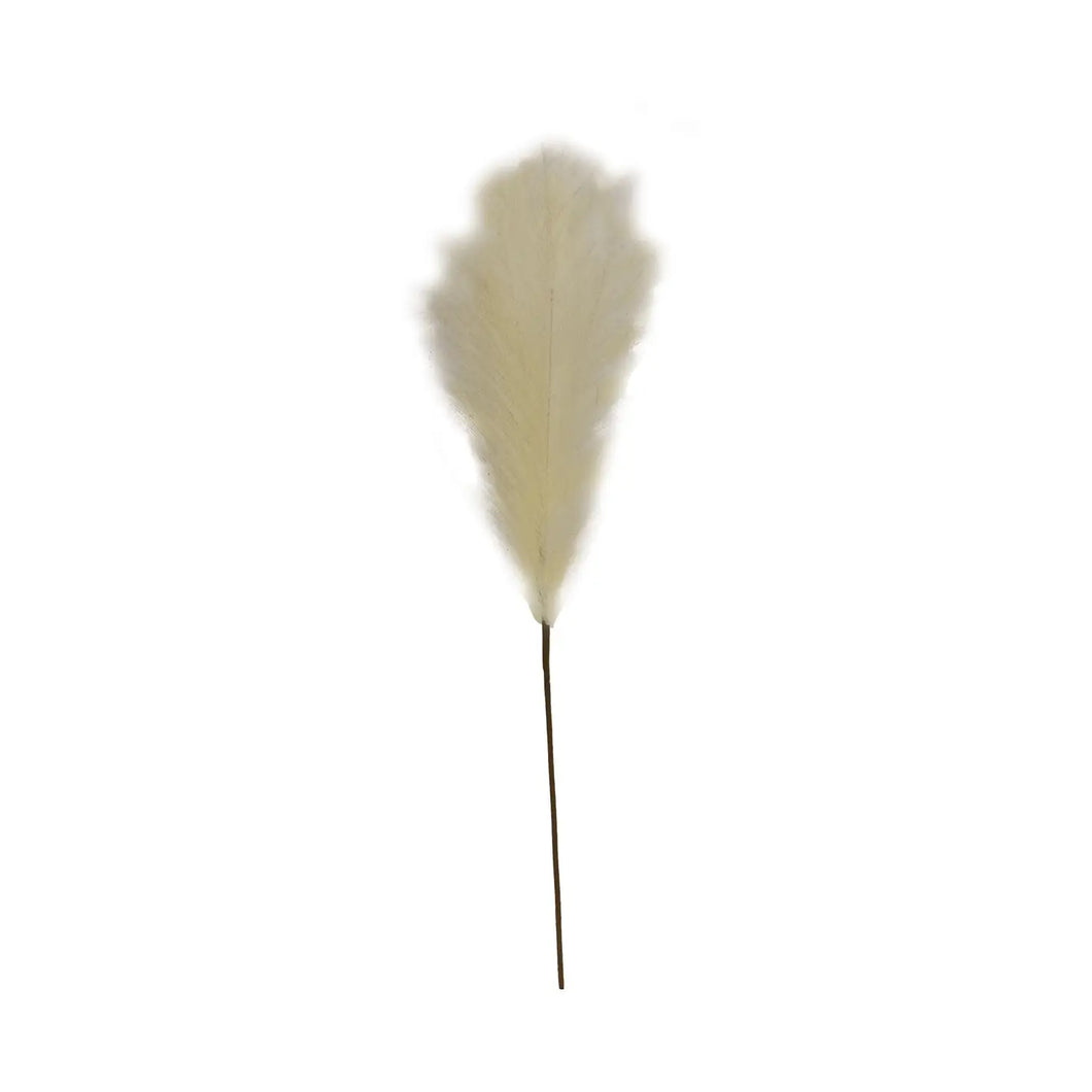 Pampas Grass Pick, 28