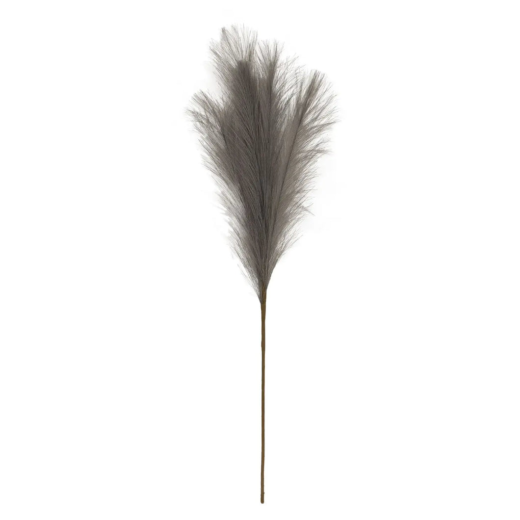 Pampas Grass Pick, 28