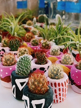 Load image into Gallery viewer, The Minimal Mini Planter
