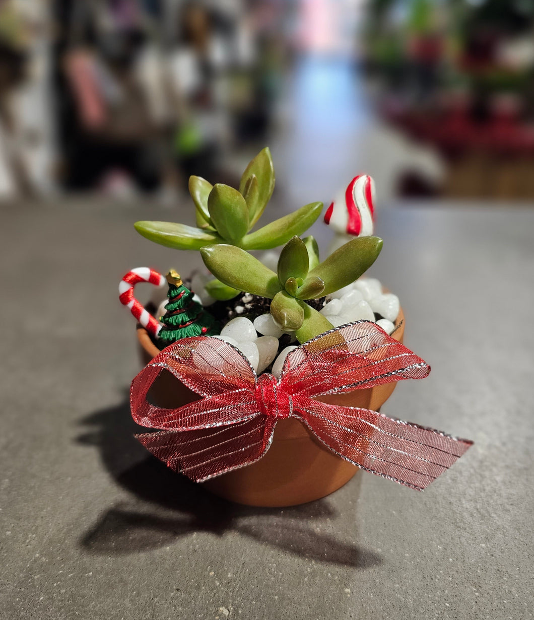 Christmas Fairy Garden