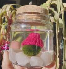 Load image into Gallery viewer, Moss Beanie: Asst. colors
