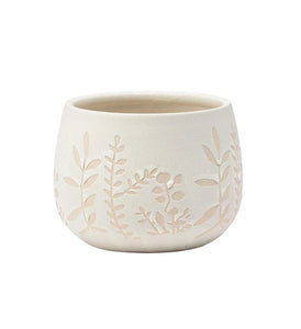 White Fern Ball Planter