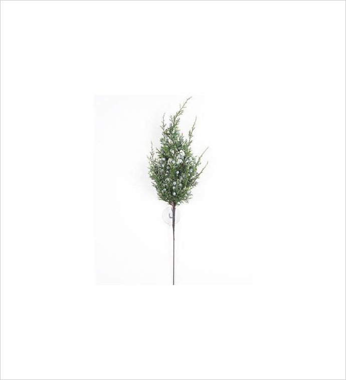 Juniper Spray