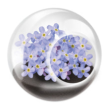 Load image into Gallery viewer, Tiny Terrariums Flowering
