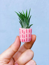 Load image into Gallery viewer, The Minimal Mini Planter
