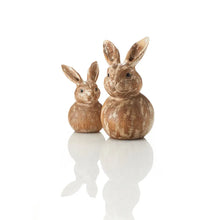 Load image into Gallery viewer, Bunny Buddy - Large
