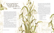 Load image into Gallery viewer, The Way of the Wildflower : Gospel Meditations to Unburden Y
