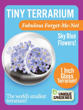 Load image into Gallery viewer, Tiny Terrariums Flowering
