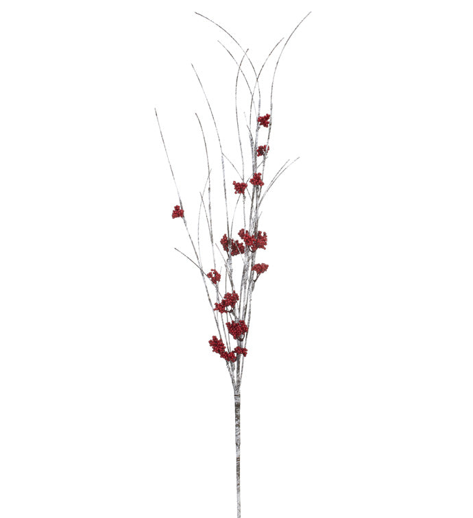 Birch Berry Spray