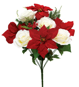 Poinsettia/Rose Bush