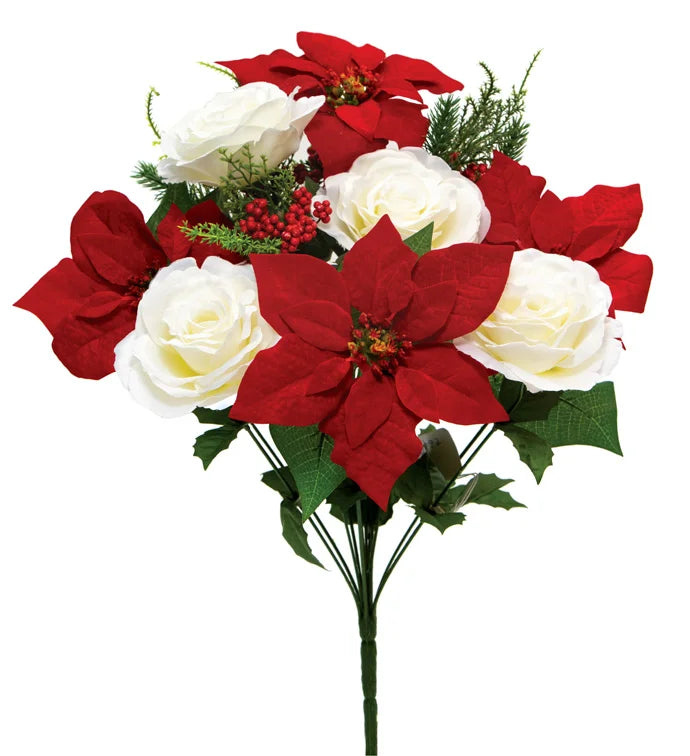 Poinsettia/Rose Bush