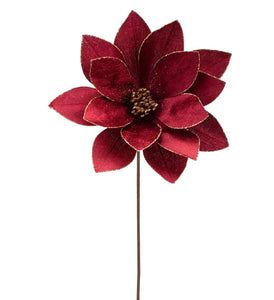 Burgundy Magnolia