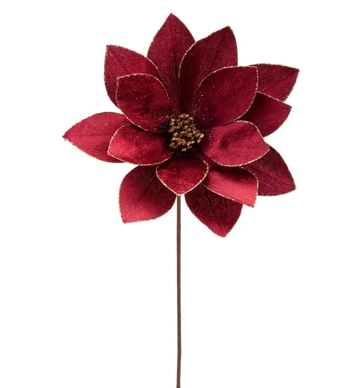 Burgundy Magnolia