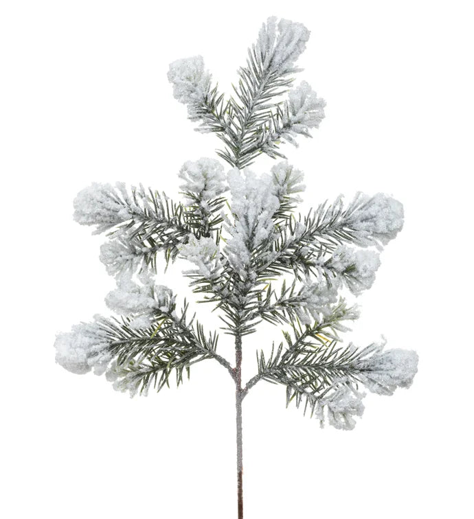 Snow Angel Pine Spray