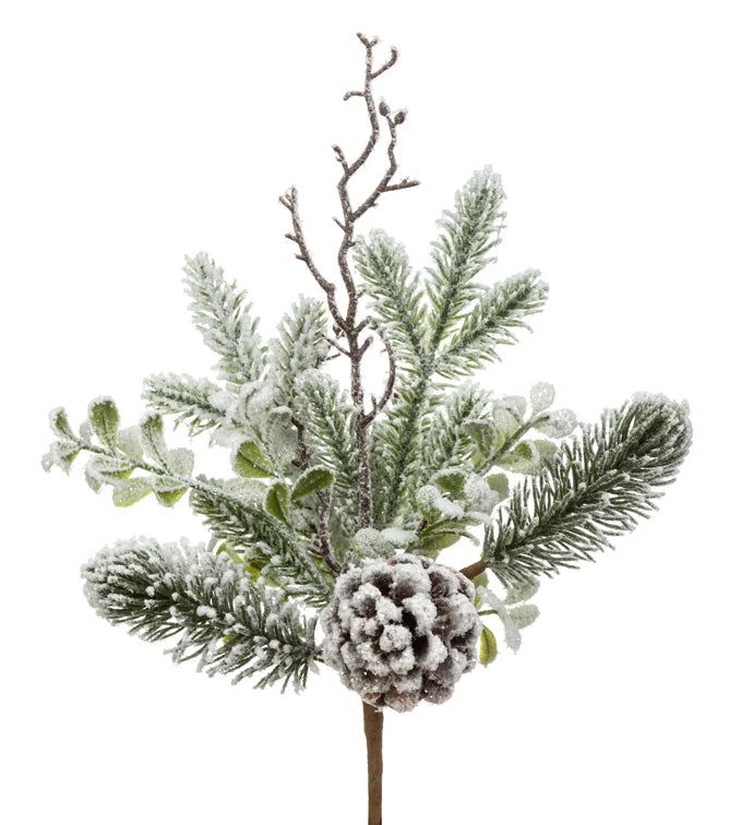 Snow Pine/Eucalyptus Cone Pick