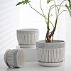 Load image into Gallery viewer, Ceramic Flower Pot - 5.5&quot;
