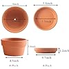 Terracotta Shallow Planter with saucer/tray