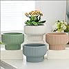 Ceramic Flower Pot with Drainage Hole - 5.9" assorted colores