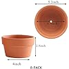 Shallow Terracotta Clay pots