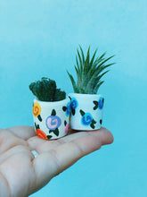 Load image into Gallery viewer, The Forget Me Not Mini Planter
