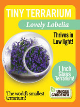 Load image into Gallery viewer, Tiny Terrariums Flowering
