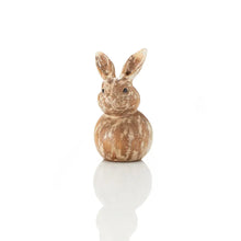 Load image into Gallery viewer, Bunny Buddy - Large
