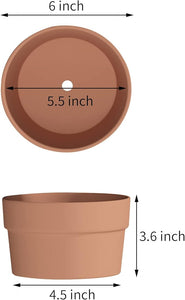 Terra Cotta Clay Pot with Drainage Hole - 6"