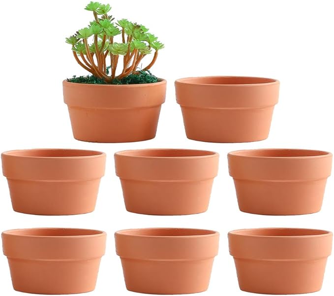 Terra Cotta Pot - 5