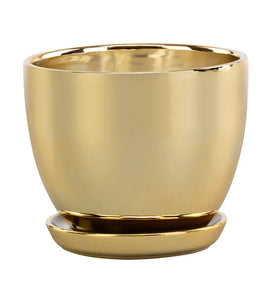 Large Gold Pot with Saucer
