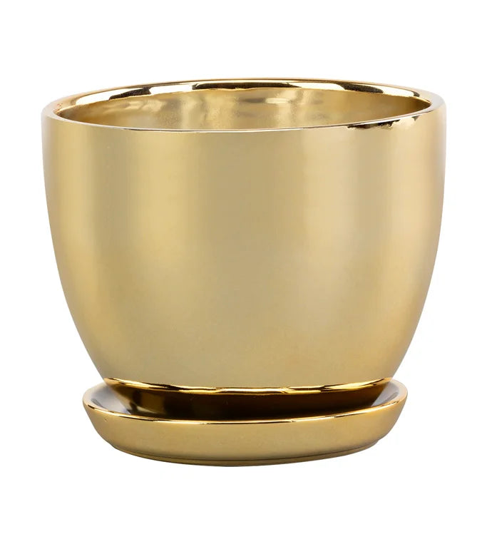 Large Gold Pot with Saucer