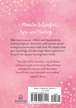 Load image into Gallery viewer, 3-Minute Devotions to Find Hope When Life Hurts
